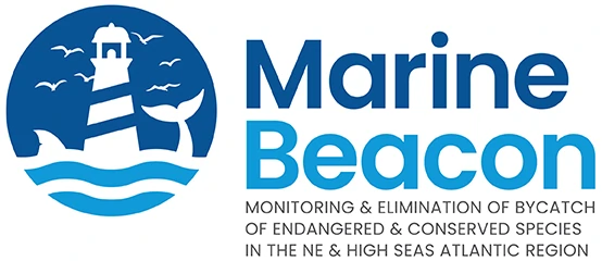 Marine Beacon logo